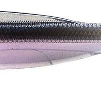 Z-Man DieZel MinnowZ